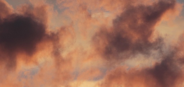 študijná atmosféra jazdeckých poznámok, otvorený zošit, pero a detail výstroja v tmavom ateliéri